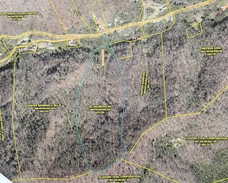 99999 Ky 2030, Martin, KY 41649