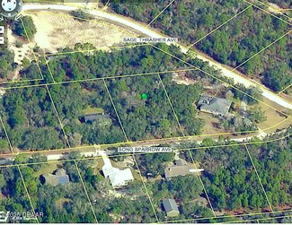 11099 Song Sparrow Ave, Weeki Wachee, FL 34614