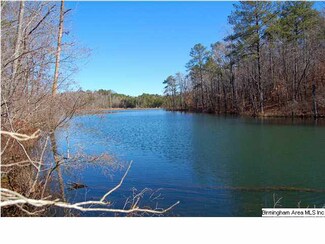 0 Alabama 5 Unit 96.23 AC 584912, Woodstock, AL 35188