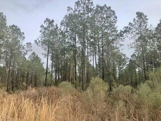 000 W Topisaw S, Summit, MS 39666
