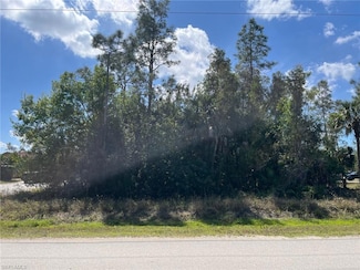 0 43rd Ave NE Unit 225023773, Naples, FL 34120