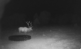 000 Highway 92, Crawford, CO 81415