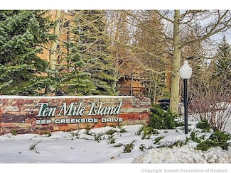 222 Creekside Dr Unit 308, Frisco, CO 80443