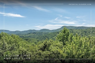 Lot 2 Trillium Ridge Rd, Cullowhee, NC 28723
