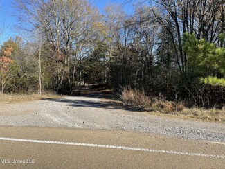 0 Robinson Springs Rd Unit 4067044, Madison, MS 39110