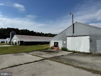 5703 Neal Parker Rd, Withams, VA 23488