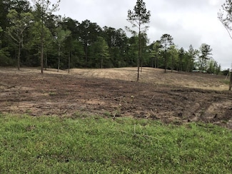 165 Jennifer Ln, South Toledo Bend, TX 75932