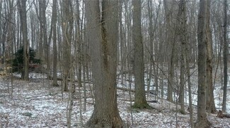 0 Bills Rd Unit R1096682, Fremont, NY 14807