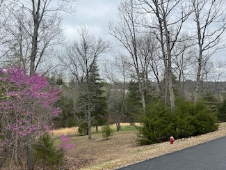 000 Appaloosa Trail, Saddlebrooke, MO 65630
