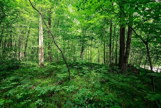 13.33 acres Oak Ridge Rd, Willard, WI 54731