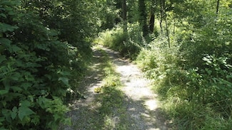 TBD Pocahontas Trail, Glade Spring, VA 24340