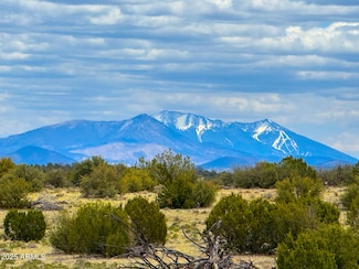 9984 W Trapper Way Unit 1007, Williams, AZ 86046