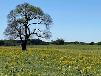 0 S Tbd Fm 607 S Unit 23148667, Larue, TX 75770