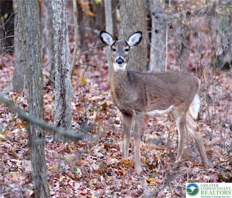 119 Tumbleweed Dr, Tunkhannock Township, PA 18334