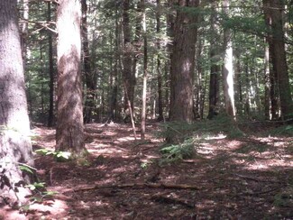 00 New Rd, Contoocook, NH 03229