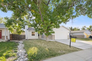 4802 S Swadley St, Morrison, CO 80465