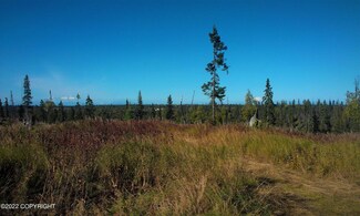 D7 Alaskan Wildwood Ranch(r), Nikolaevsk, AK 99556