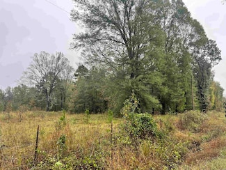 TBD Grant County 4, Leola, AR 72084