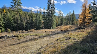 717 B Finley Gulch Rd, Colville, WA 99114