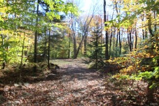 Lot 3 Fox Brook Rd, Redfield, NY 13437