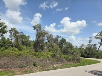 0 SW 153rd Loop, Ocala, FL 34473
