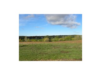 11818 S Cave Rd, Lone Jack, MO 64070