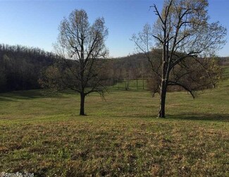 0 Alternative Rd Unit 17033123, Red River Township, AR 72650