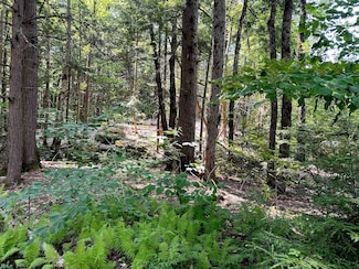 12 Newmarket Rd, Warner, NH 03278