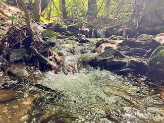 Lot 42 Twinbrook Ln, Maggie Valley, NC 28751
