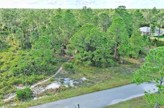 1221 Wellington Ave, Lehigh Acres, FL 33972