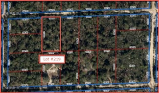 Lot 216 NE 86th St, East Bronson, FL 32621