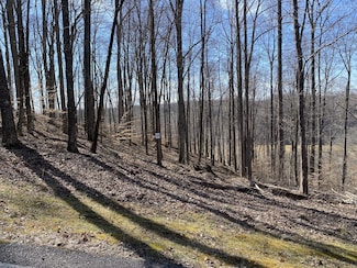 0 Bridge Pointe Rd Unit RTC2806211, Sparta, TN 38583