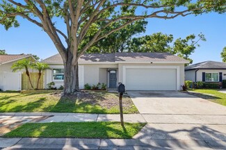 10404 Oakhaven Dr, Pinellas Park, FL 33782