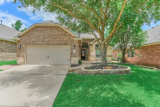 114 Black Swan Place, Magnolia, TX 77354