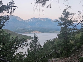 315 High Meadow Dr, Dillon, CO 80435