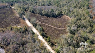 XX2 Seay Rd, Cottondale, FL 32431