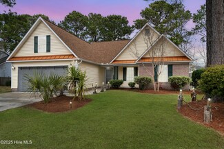 662 Grey Squirrel Dr, Wilmington, NC 28409