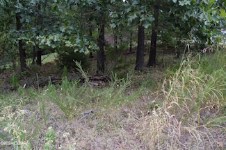 Lot 21 Ridgeview Ct, Joplin, MO 64804