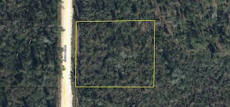 0 Edison Ave Unit MFRO6317904, Alford, FL 32420