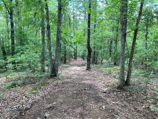 1750 Madison 9305, Marquand, MO 63655