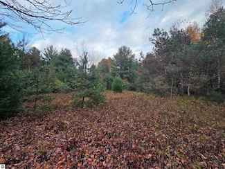 00 Monument Rd, Tawas City, MI 48763