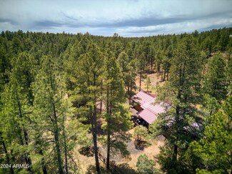 5160 W Tatanka Loop, Show Low, AZ 85901