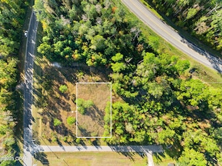 115 Pear St, Wewahitchka, FL 32465