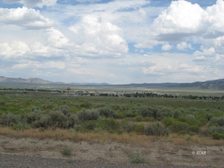 tbd Angel Lake Rd, Wells, NV 89835