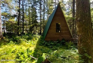 1A Snoose Creek Whale Pass Rd, Whale Pass, AK 99921