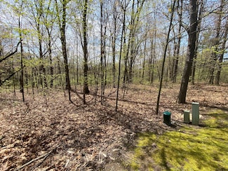 12998 Bowen Lake Dr, Gowen, MI 49326