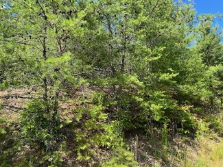 Lot 12 Shelton Springs Dr, Hayesville, MD 20894