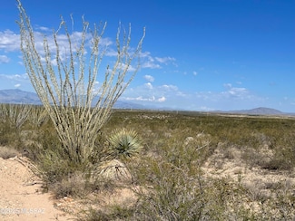 0 E Dragoon Valley Rd, St. David, AZ 85630