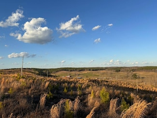 0 County Road 10, Winfield, AL 35594