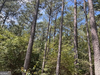 0 Rd, Roberta, GA 31078
